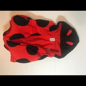 Lady bug costume/6-9 months/infant/girl